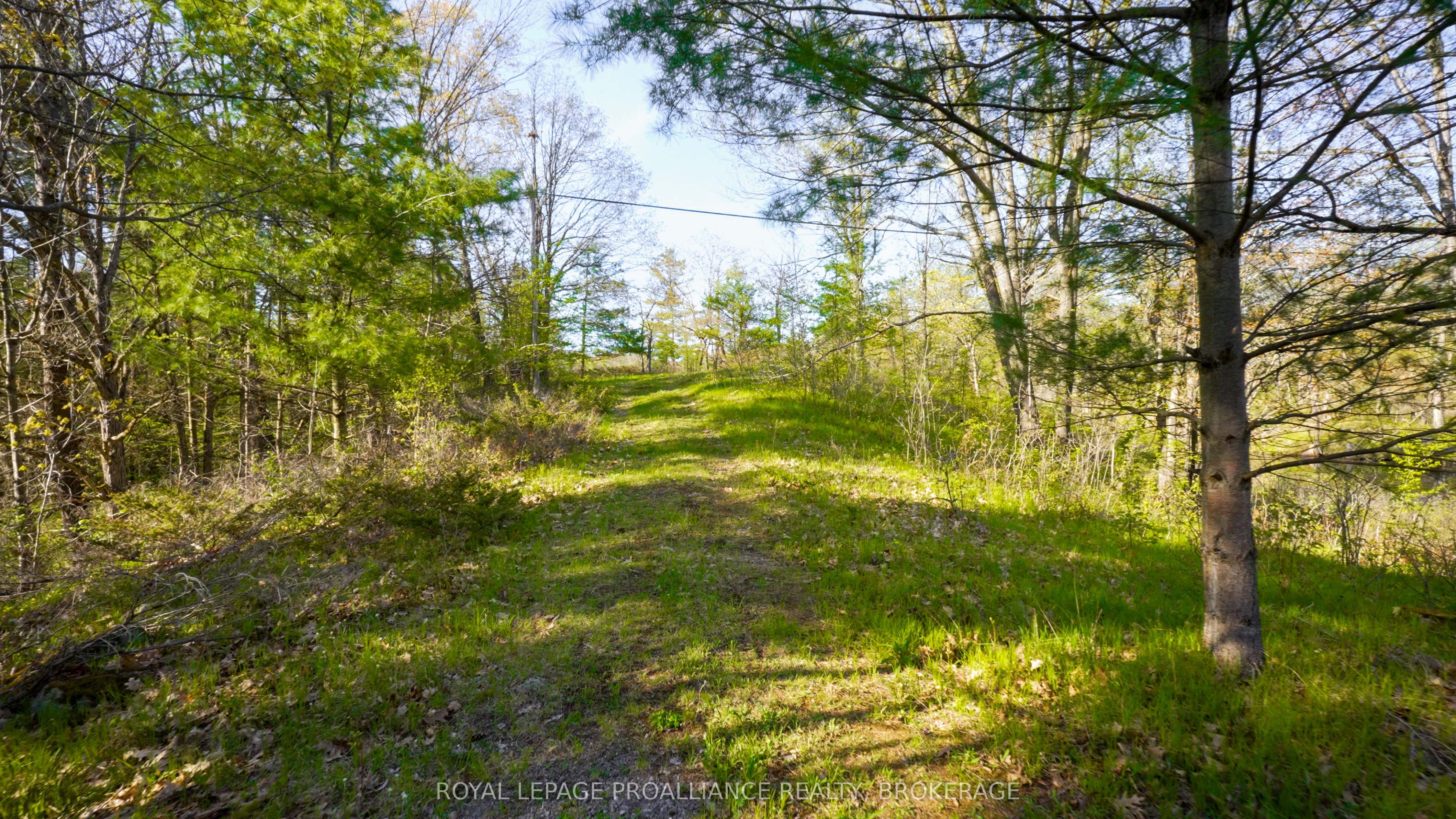 PT LT 2 Creek Crossing Lane, Rideau Lakes, ON K0G 1X0 photo 2
