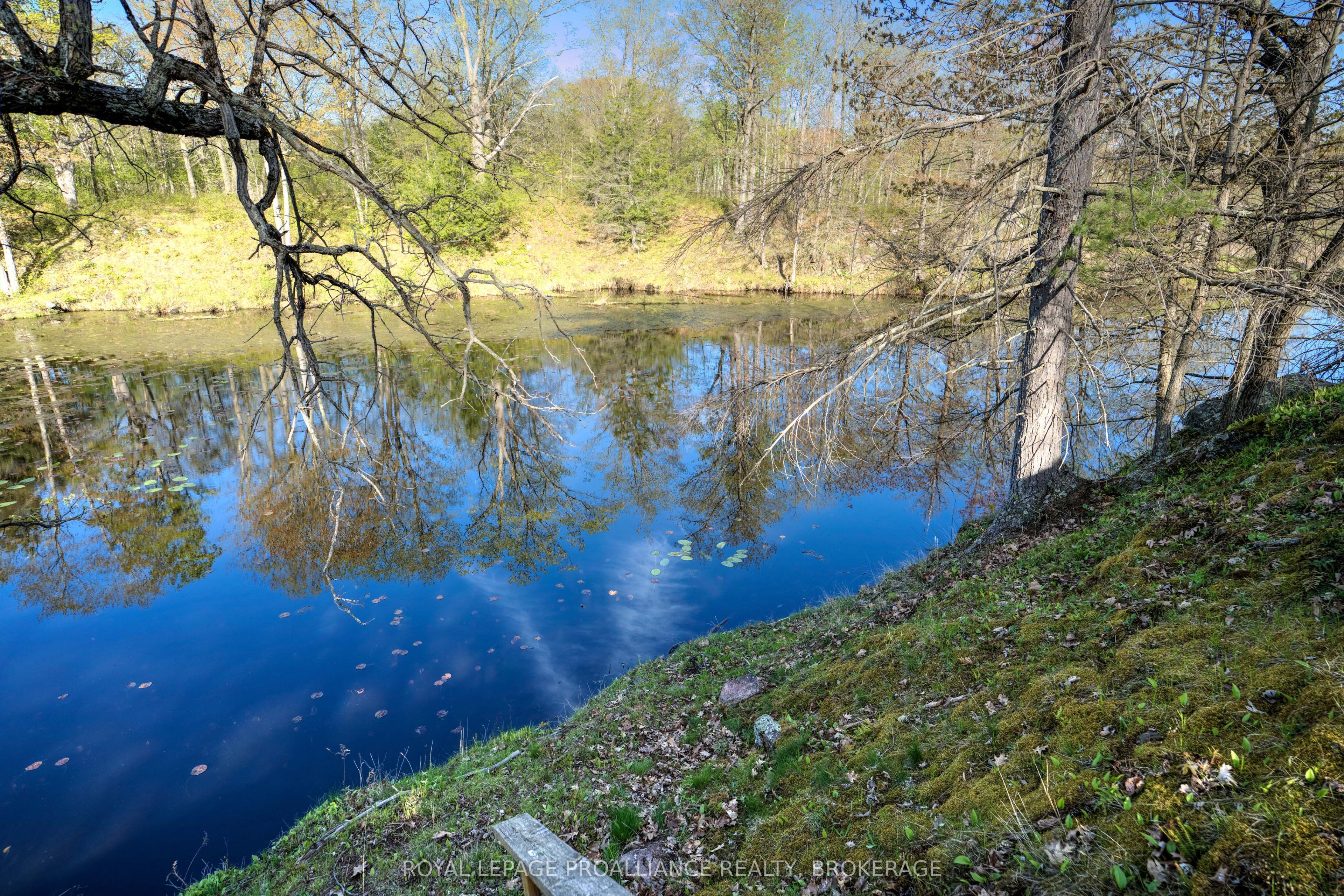 PT LT 2 Creek Crossing Lane, Rideau Lakes, ON K0G 1X0 photo 4