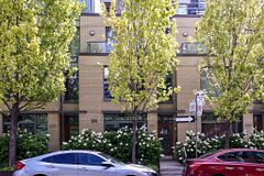 271 Mutual Street, Toronto, ON M4Y 1X6