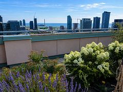 7 King Street E 602, Toronto, ON M5C 3C5