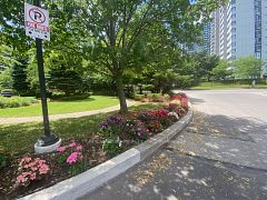 135 Antibes Drive 1506, Toronto, ON M2R 2Z1