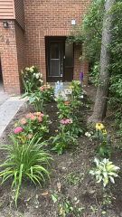 24 Low Meadoway N/A, Toronto, ON M2H 2V7