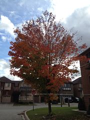 30 Herons Hill Way N/A 403, Toronto, ON M2J 0A4