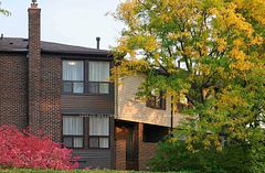 10 Lofty Hill Way, Toronto, ON M2H 2Z8