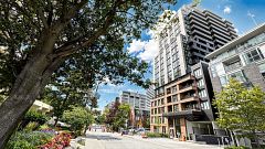 109 Erskine Avenue 204, Toronto, ON M4P 0G6