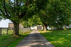 772 Townline Road W, Scugog, ON L0B 1A0