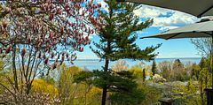 2 Ledge Road, Toronto, ON M1M 1H1