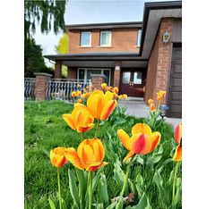 48 Cherry Hills Road, Vaughan, ON L4K 1M4