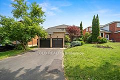 278 Alex Doner Drive Lower, Newmarket, ON L3X 1G6