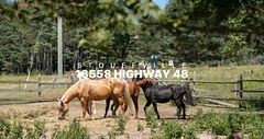 16558 Highway 48, Whitchurch-Stouffville, ON L4A 7X4