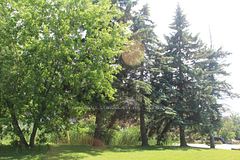 182 Frederick Street, Georgina, ON L4P 2J1