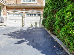 503 Thornhill Woods Drive Basement, Vaughan, ON L4J 9A1