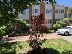122 Lucas Street, Richmond Hill, ON L4C 4P5