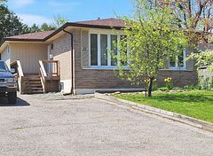 17 Daphne Crescent Bsmt, Barrie, ON L4M 2Y7
