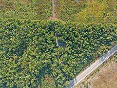 3992 Penetanguishene Road, Springwater, ON L0L 1V0