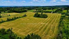 22 Sydenham Trail W, Clearview, ON L0M 1H0