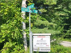 LT 50 Cedar Grove Drive, Tiny, ON L0L 2J0