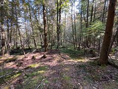 Lot 25 Champlain Road, Tiny, ON L9M 0C3