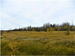 PCL 8479 N/A, Mattice-Val Cote, ON P0L 1T0