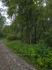 PCL 15528 & 15527 Martin Bird Road, Kirkland Lake, ON P0K 1L0
