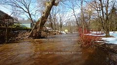 8 Ann Street, Halton Hills, ON L7G 2V2