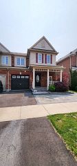 568 Speyer Circle Bsmt, Milton, ON L9T 0Y2