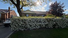 73 KANARICK Crescent, Toronto, ON M3L 1P3