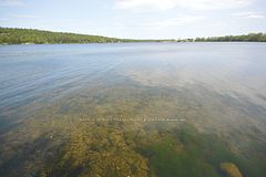 00 Faught Road, Whitewater Region, ON K0J 0A6