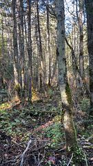 Con 1 Lot 4, Bancroft, ON K0L 2S0