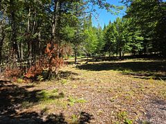 00 Whitney Road, Perry, ON P0A 1R0