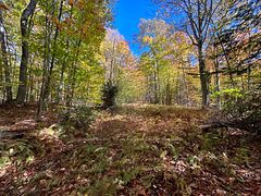 833 Hamilton Lake Road, Machar, ON P0A 1X0