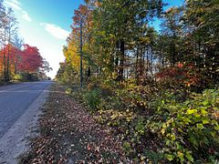 lot 0 Bellamy Road, McNab/Braeside, ON K0A 3L0