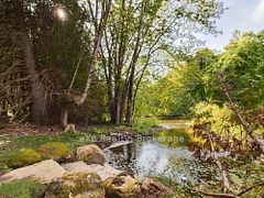 502265 Concession 10 NDR, West Grey, ON N0G 1S0