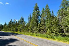 0- P1 Highway 518 W, McMurrich/Monteith, ON P0A 1Y0
