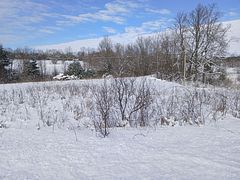 268 Crozier Road, Tay Valley, ON K0G 1X0