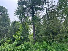 00 Bellamy Road, McNab/Braeside, ON K0A 3L0