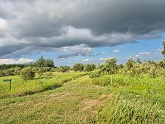 132681 Southgate Sideroad 13, Southgate, ON N0C 1B0