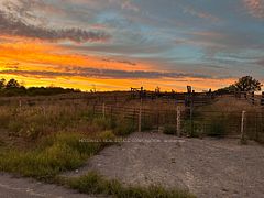 252 Concession Road 13 E, Trent Hills, ON K0L 1Y0