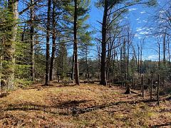 17556 Highway 62, Madoc, ON K0K 2K0
