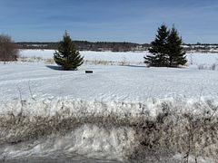 840 Old Highway 17 Highway E, Alfred and Plantagenet, ON K0B 1L0