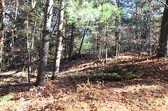 2 and 3 Parker Bay Road, Whitestone, ON P0G 1G0