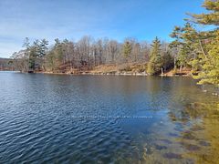 0 Murphy's Island, Leeds and the Thousand Islands, ON K0H 2N0