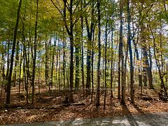 PT 38 Cedar Sands Road, Rideau Lakes, ON K0E 1N0