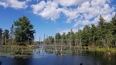 0 Unopened Road Allowance Road, McKellar, ON P2A 2W7
