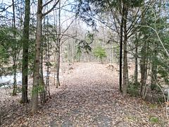 1231 Big Hawk Lake Road, Algonquin Highlands, ON K0M 1J2