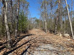 6192 County Rd 50, Trent Hills, ON K0L 1L0