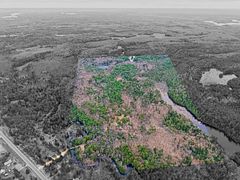 9559 Hwy 28, North Kawartha, ON K0L 1A0