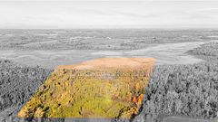 740 Mount Horeb Road, Kawartha Lakes, ON K0L 2X0