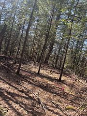 0 Kirkpatrick Lane, Bracebridge, ON P1L 1X3