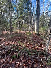 0 Mill Lake Road, North Kawartha, ON K0L 1A0